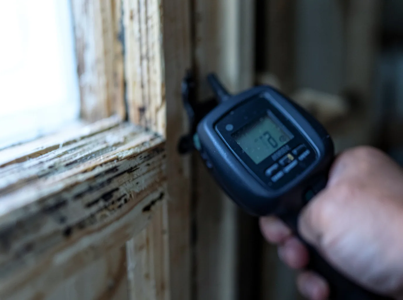 Moisture Inspection And Documentation in Waupaca, WI
